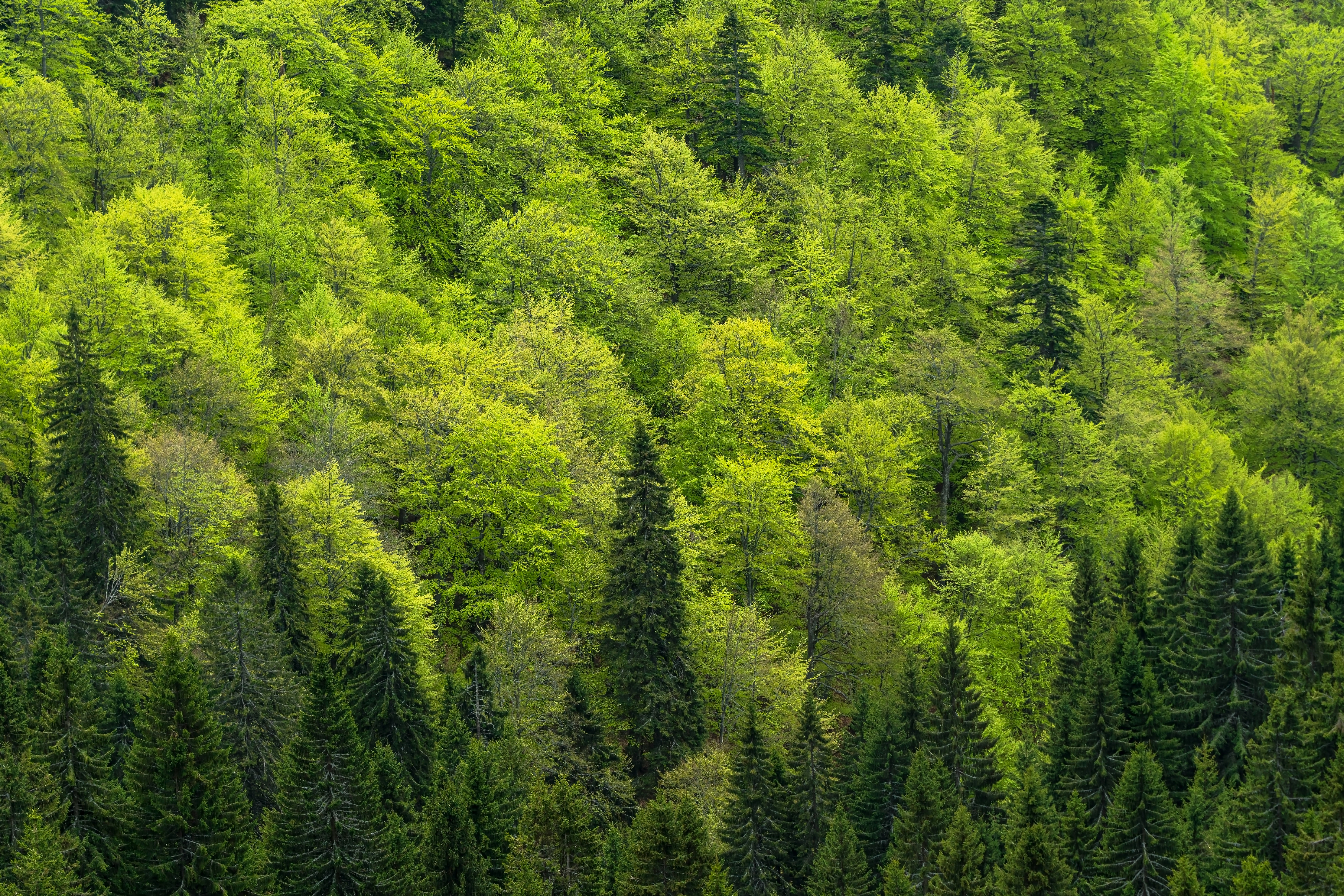 Sustainability