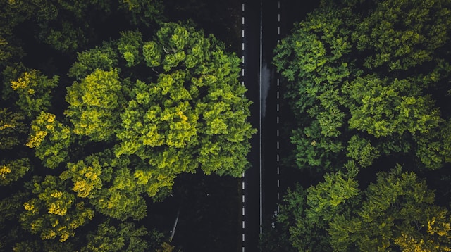 Reducing Carbon Across the Lifecycle