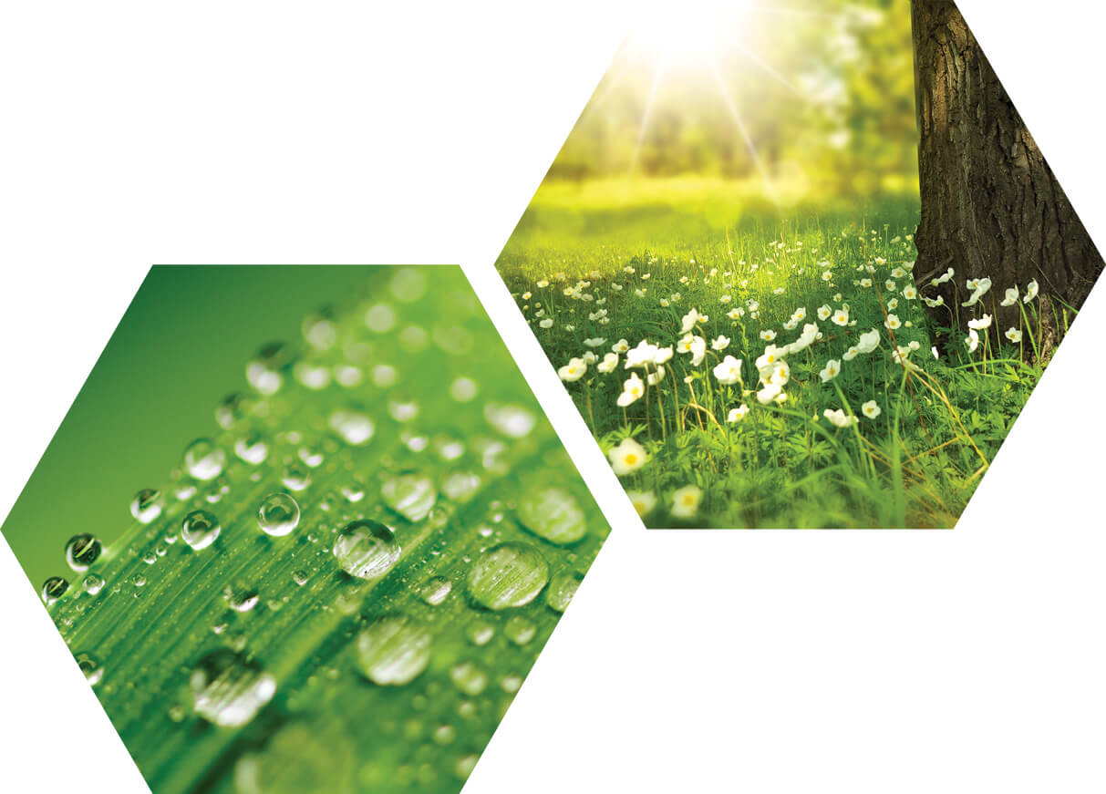 Helping Customers Meet ESG and Net-Zero Goals